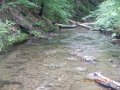 fowlers hollow.Laural run 06-09-14 079